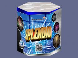 Splendid BS13-01